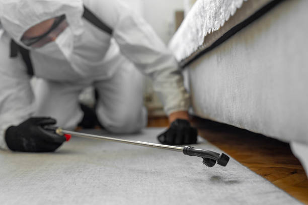 Professional Bed Bug Control technician working in Broadview Heights, OH